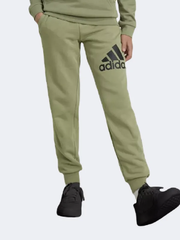 men's high-waisted straight leg black pants-Adidas Essentials Big Logo Boys Sportswear Pant Green/Black